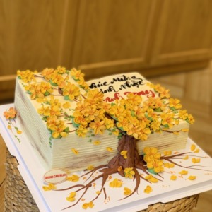 Bánh Kem Bơ Cuốn Sách Hoa Mai-  Grand Castella